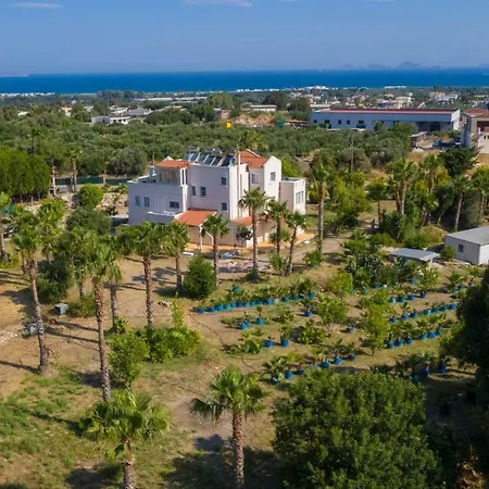 Platon In * Kos-stad